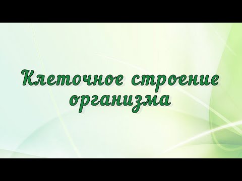 Клеточное строение организма