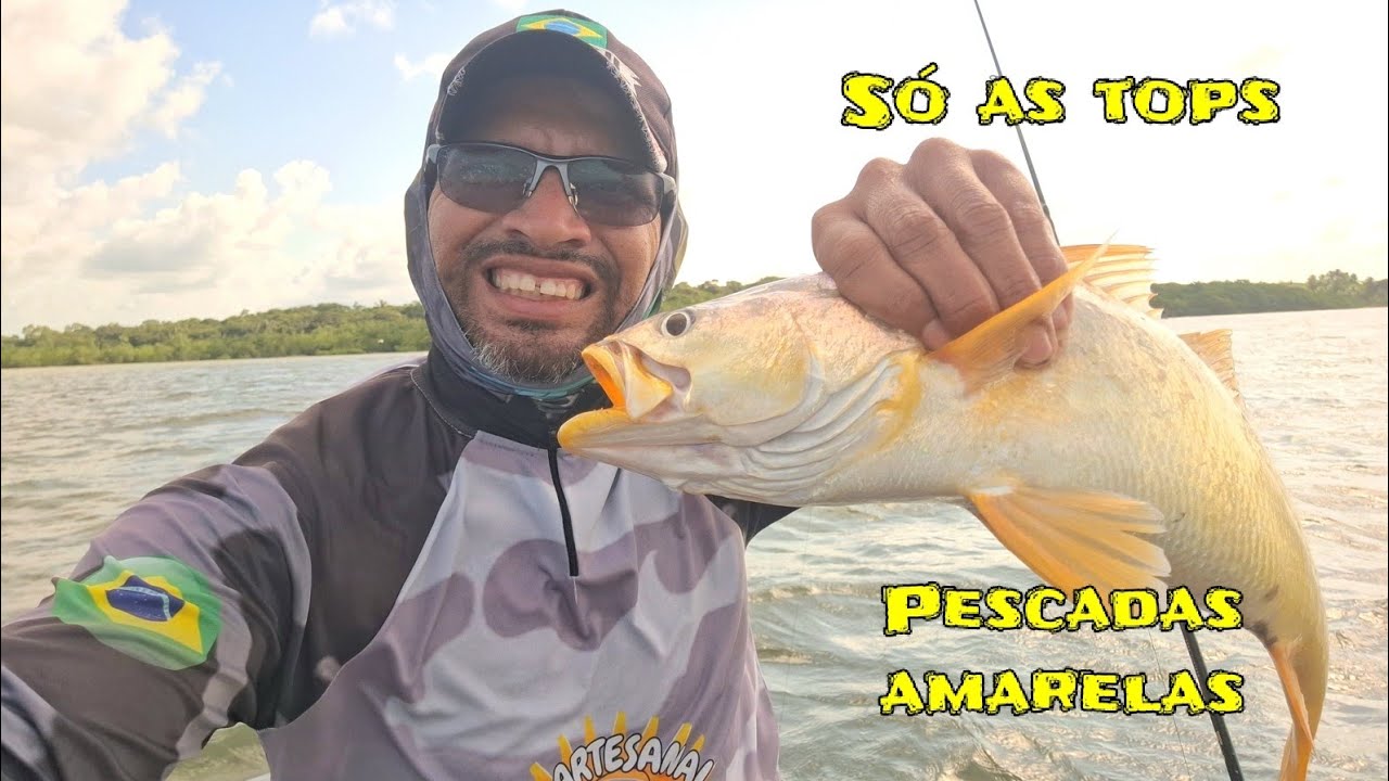 Só nas PESCADAS AMARELAS, pesca e comendo ( cozido) #aventura #pescaria #viral #fish