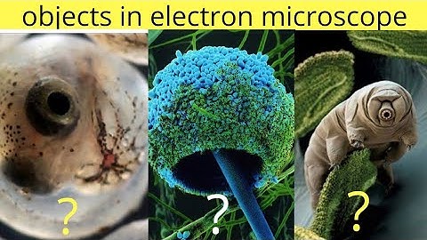 Objects in electron microscope | object seen in microscope| part-3