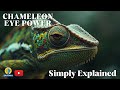 Why Chameleons Have the Most Powerful Eyes on Earth! | Finally Discover How Chameleon's Eye Work 🦎