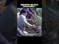 魚群が海を真っ黒に染める 圧巻の巻き網漁だ!