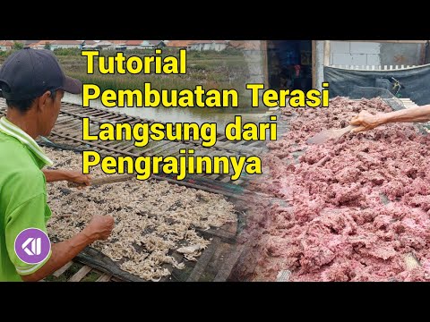 Indonesian Terasi