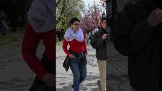 Sakura Blossom in Budapest Hungary #budapest #travel #walkingtour #sakura