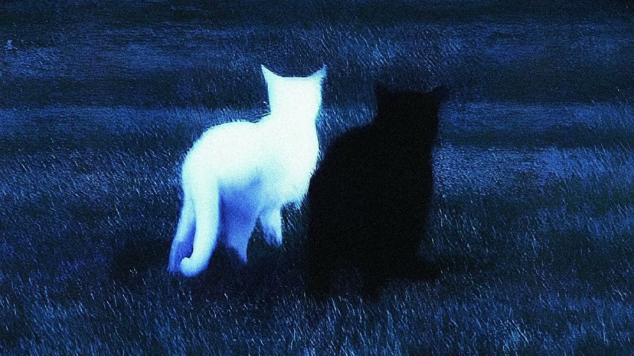 i miss us... (nostalgic playlist)