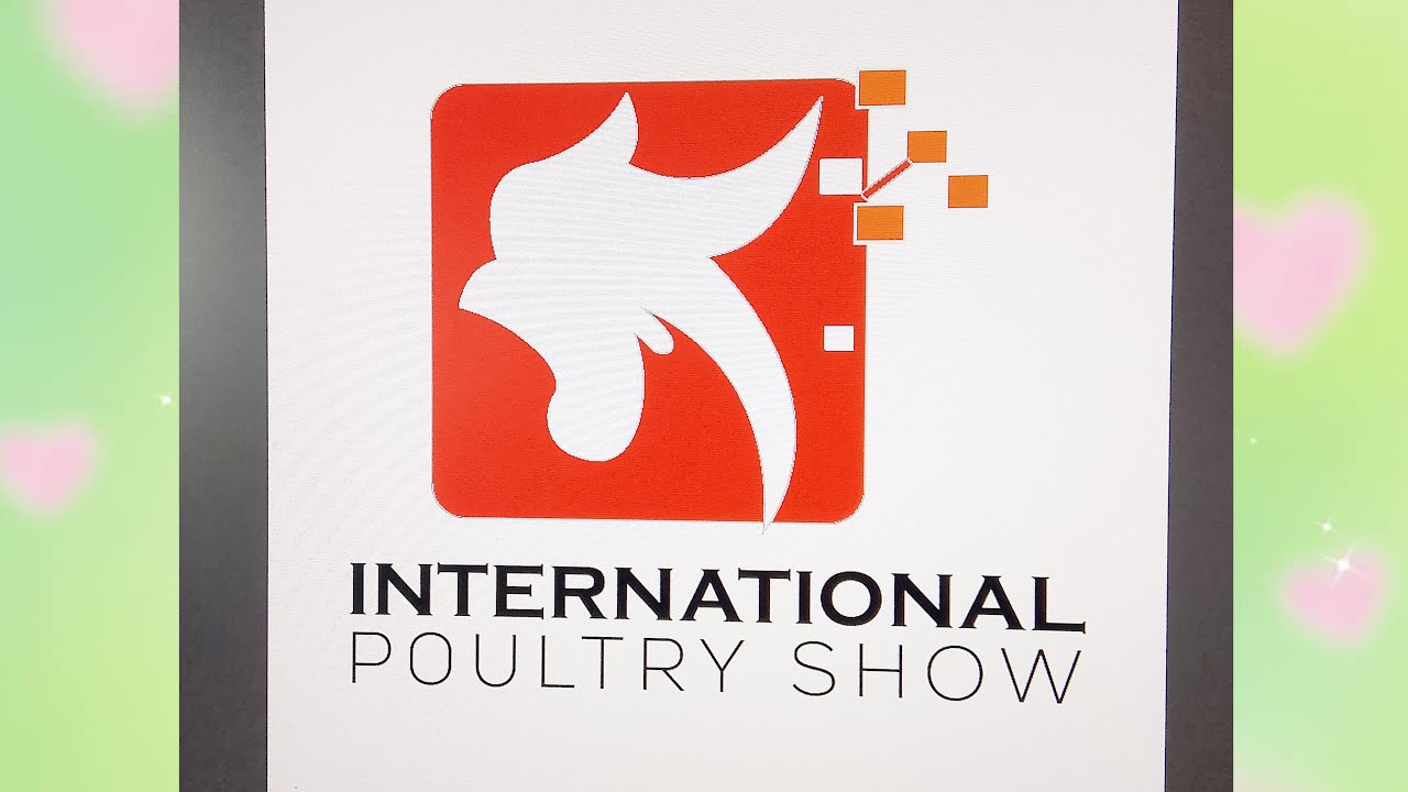 Graphic  design logo //  beautiful logo