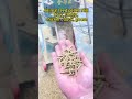 #cultivation 养殖#cultivation industry 养殖业#Pelletizer 颗粒机