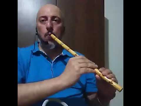 عزف اغنية كلمة حلوة وكلمتين للفنانه داليدا ميلوديكا وناي دوري موسيقى