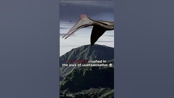 The First Letter of Your Name = Your Prehistoric Death 😱 | Part 4