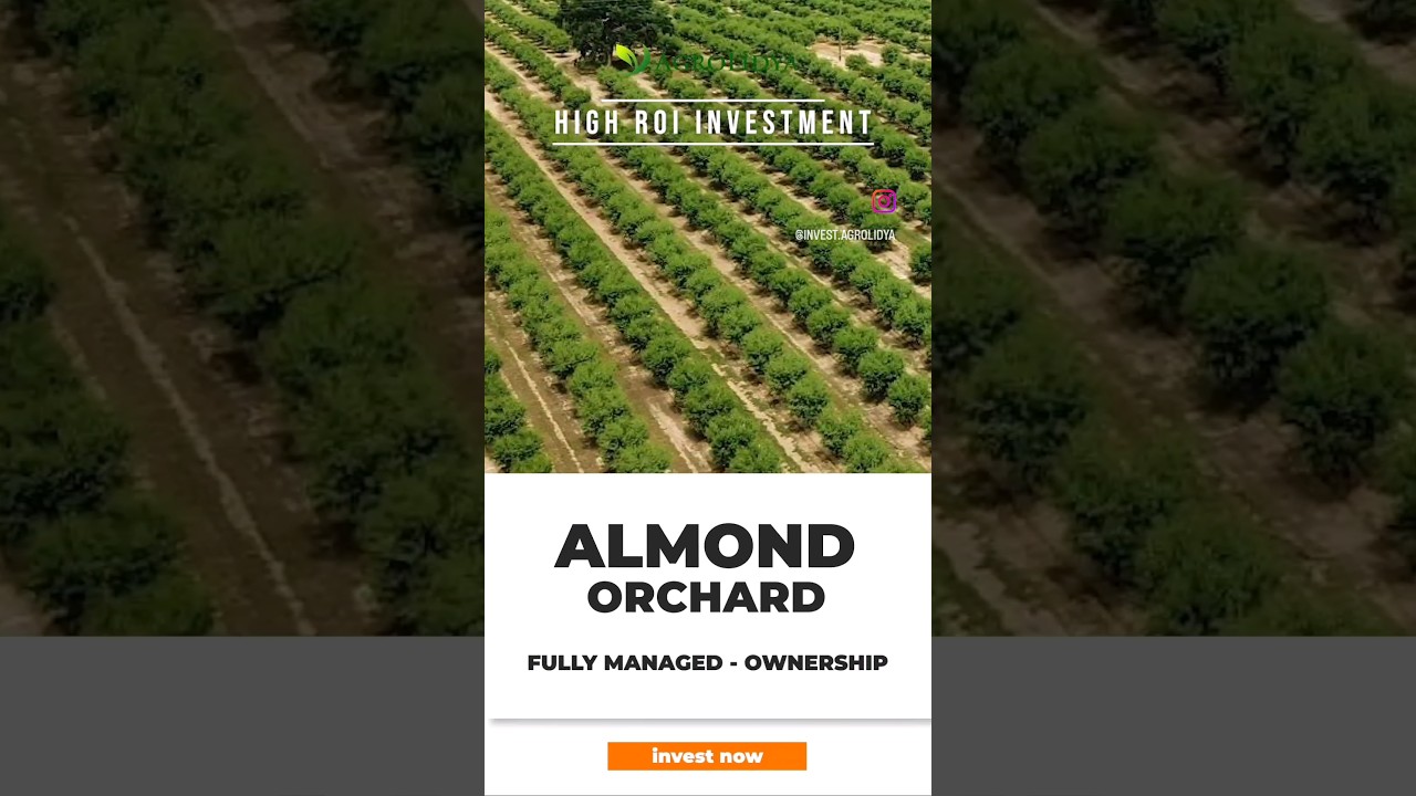 ↗️ High ROI farmland investments in Turkey! 🇹🇷