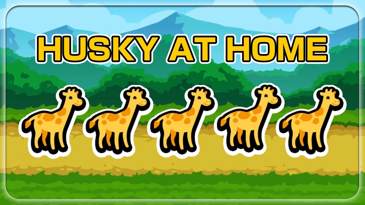 We Have Husky At Home