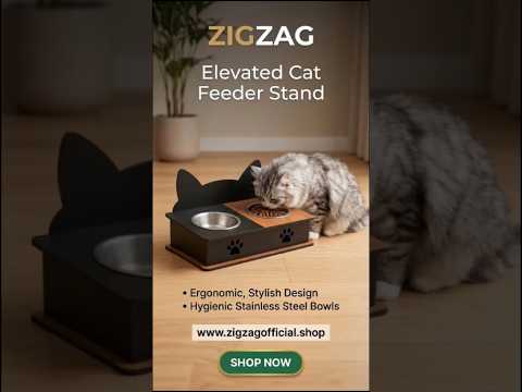 Cat Ear Shape 2 Bowls Cat Feeder Stand For Couples Pack - Ergonomic & Stylish Pet Feeding Solution