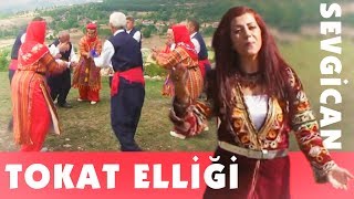 Tokat Elliği ( Ellik ) ⎮ Sevgican Resimi