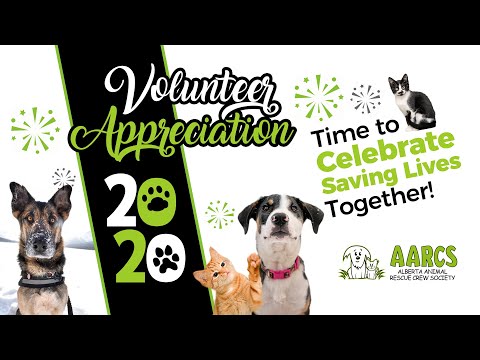 Volunteer Celebration 2020