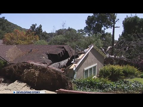 Strong winds knock down trees across Southern California - YouTube