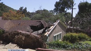 Strong winds knock down trees across Southern California