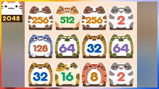 2048 CAT - Gameplay Walkthrough screenshot 2