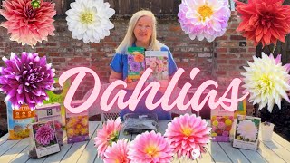 WHOA! Planting Dahlia Tubers/Comparison: Proven Winners | Sams Club | Home Depot  