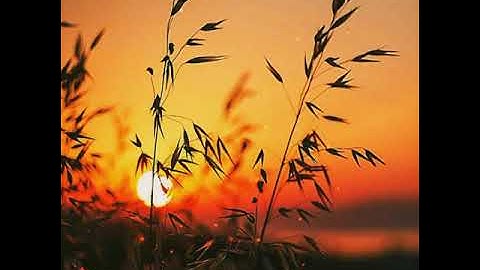 سورة الضحى |تلاوة نادرة | القارئ : محمد نور بن جعفر