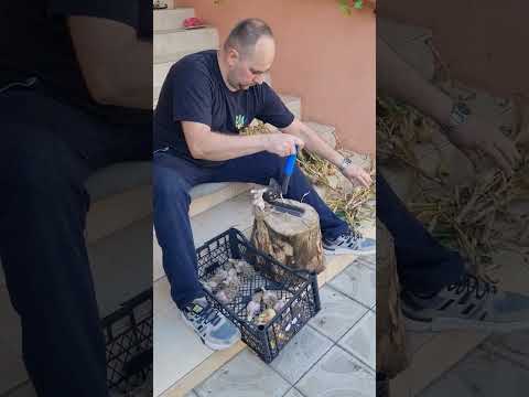 Ножиці секатор для обрізки часнику та цибулі, видео 1