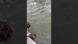 Nice flounder during king tide(crazy overflowing pond)