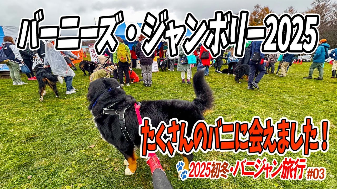 【2025初冬・バニジャン旅行】バーニーズ・ジャンボリー2025！／たびばに。