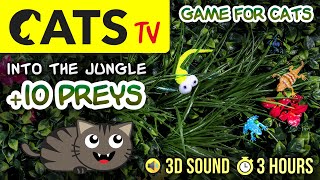 GAME FOR CATS  Spiders, Lizards, Frogs... in Jungle  3 Hours [CATS TV]