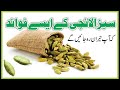 Cardamom health  benefits in urdu        info lab