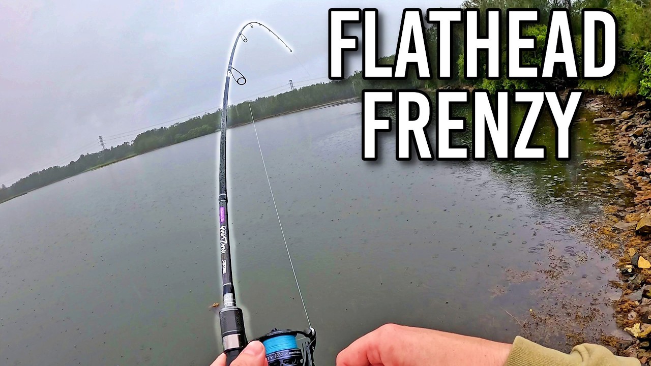 День, проведённый на рыбалке, закончился ураганом флэтхедов! (Midweek Comp)