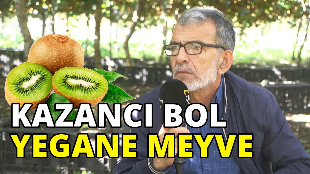 Getirisi Bol Yegane Meyve: KİVİ / 