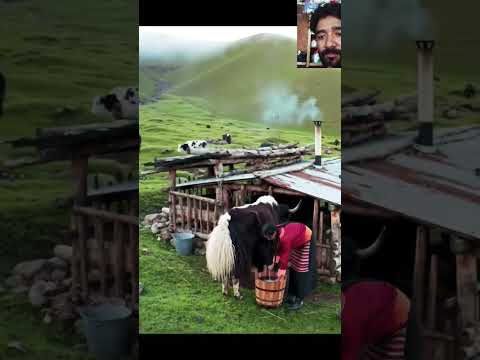 ह म ल ज वन ल खक बस ई Diyalisujan Shorts Shortvideo Youtubeshorts