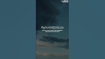 بَلْ كَذَّبُوا بِالْحَقِّ | الشيخ ياسر الدوسري | سورة ق  #قرآن #الشيخ_ياسر_الدوسري