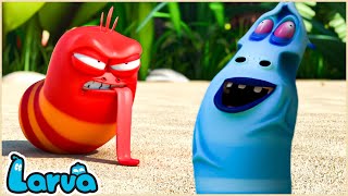 Life Changes -  100 MIN - LARVA- Season 1 Episode 28 ~ 290 - Special Video by LARVA.