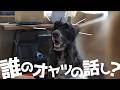 美味しい話を聞く時は輝きが違うEコッカー