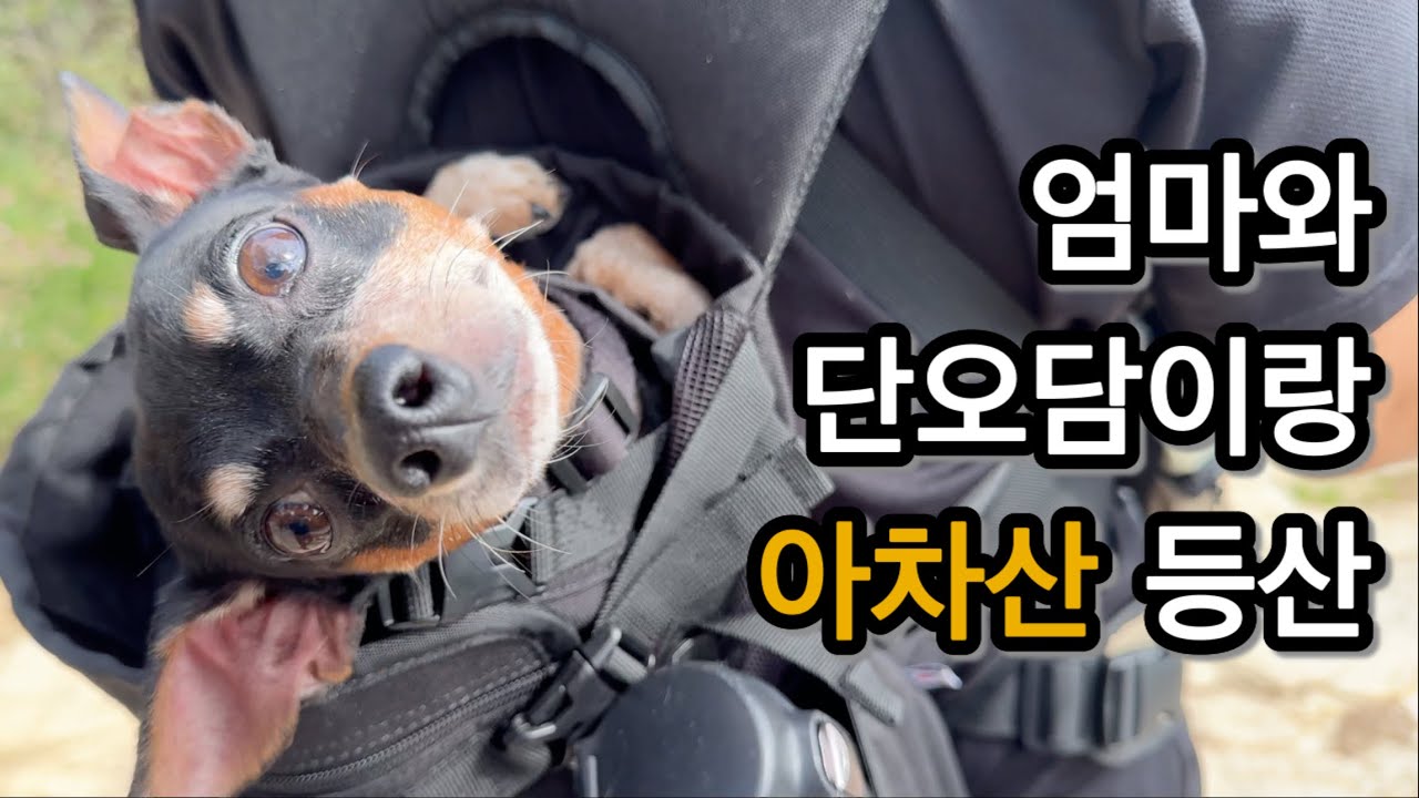 엄마와 단오담이랑 아차산 등산⛰️ 첫 서울둘레길 스탬프 인증까지!