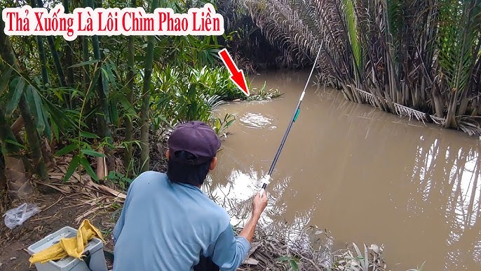 Loại Cá Trê Thường Gặp Khi Câu