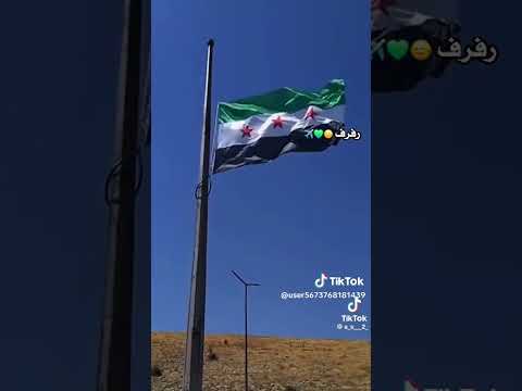 ٢٥ نوفمبر ٢٠٢٤