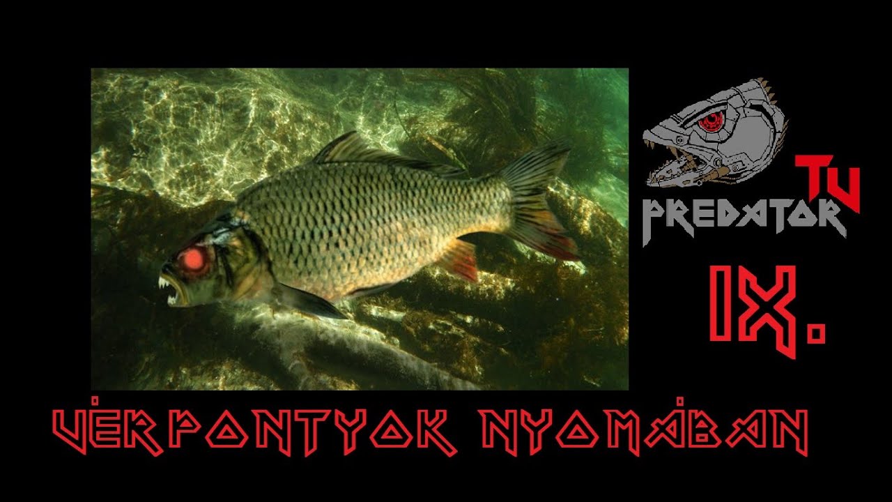 Predator TV IX. Pergetés Vérpontyokra Full HD