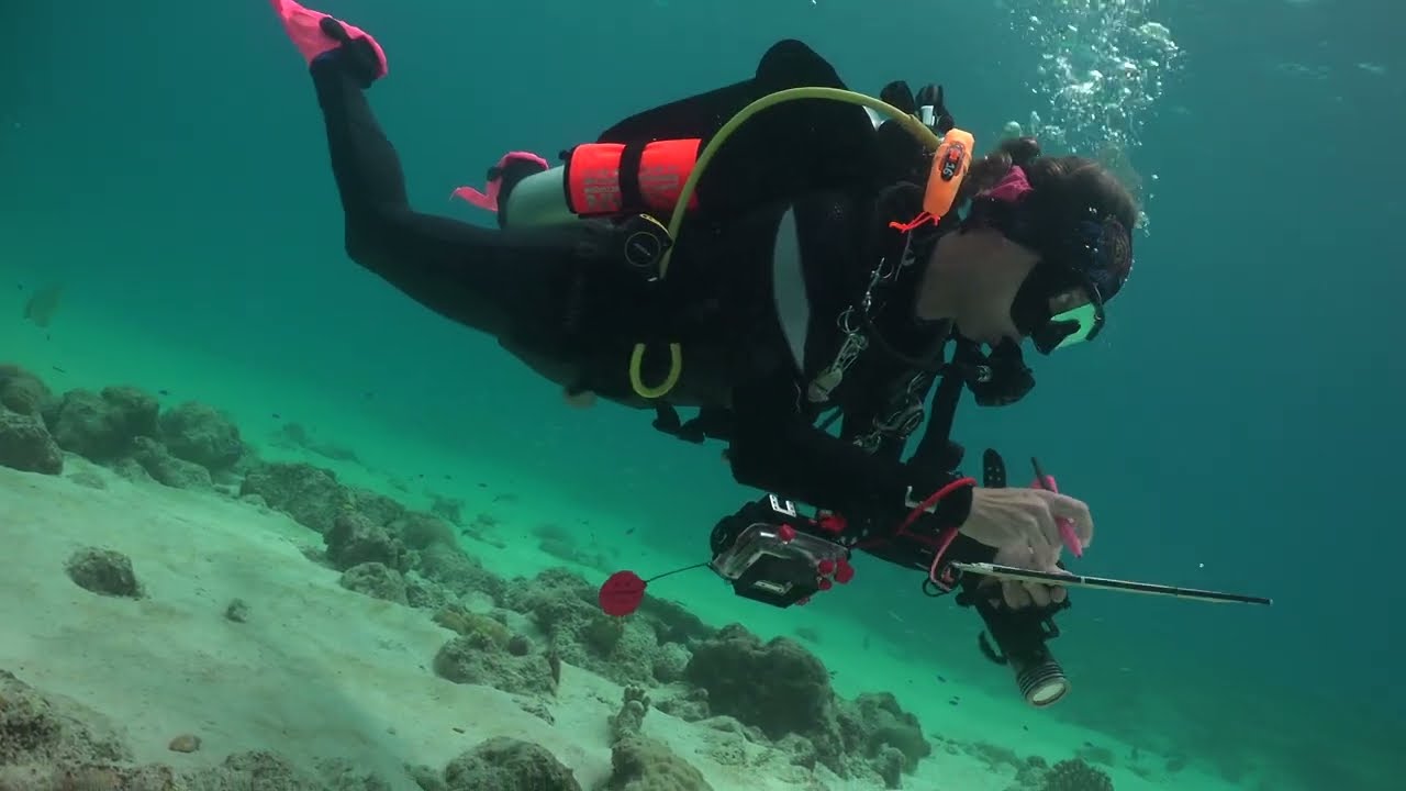 Malayan Wreck / Tubbataha Reefs