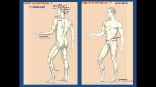 Чудесные меридианы. Часть 1. Акупунктура. Иглоукалывание.