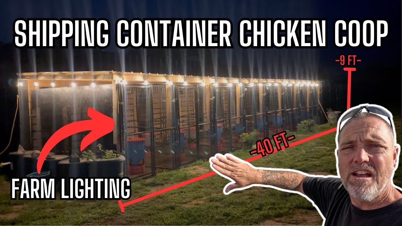 Farm Glow-Up! Shade & Lights Transform Our Ultimate Chicken Coop | Shipping Container Conversion