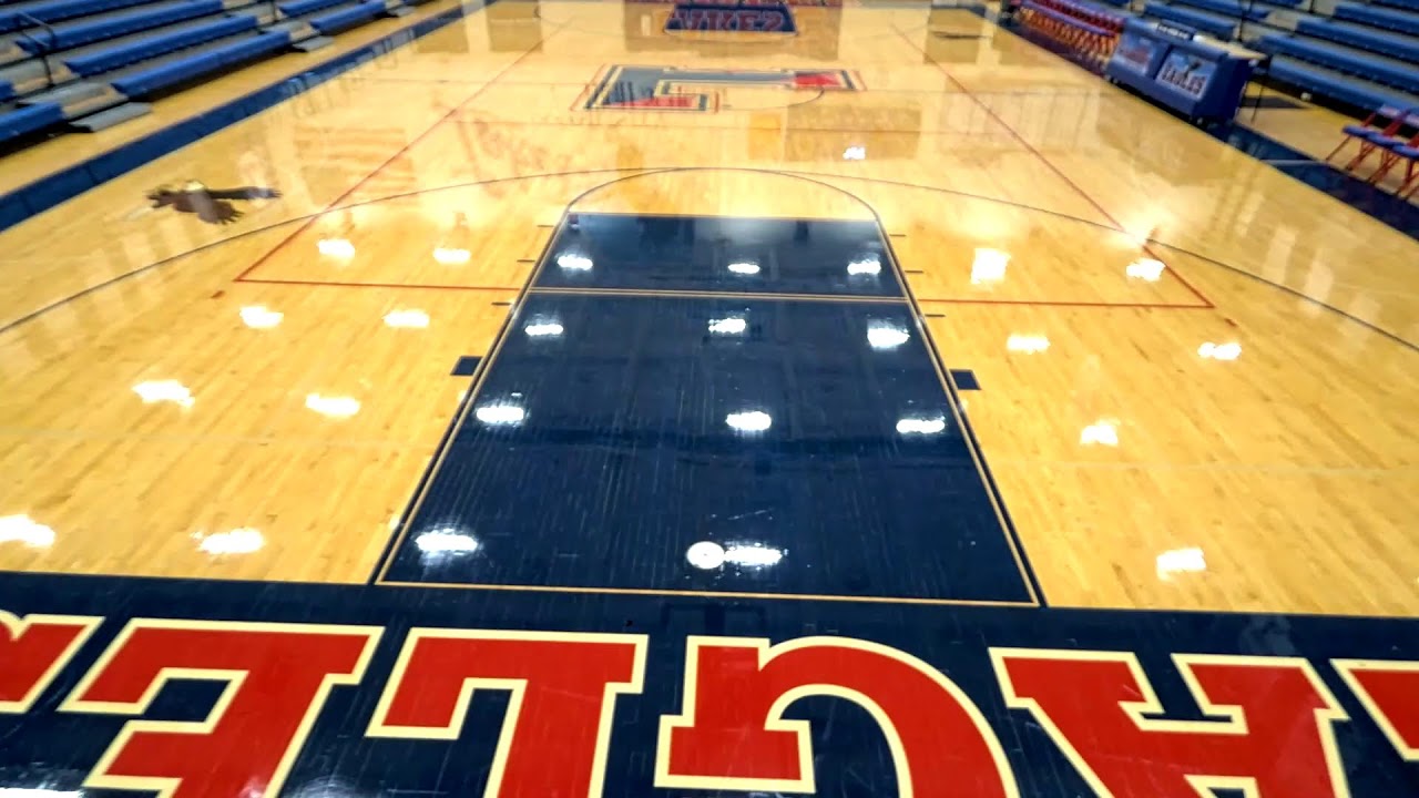 Lakes Community High School vs Carmel Catholic High School Womens Varsity Volleyball