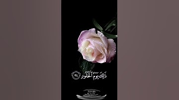 صباح الخير 🌸اجمل حالات واتس اب مقاطع قصيره🌸 قران كريم ق ادخلوها بسلام 🌸 احمد النفيس بدون حقوق