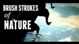 Brush Strokes of Nature - inspired by nature 