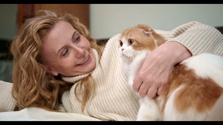 Video 11348821: funny baby cats cutest, best cutest cat, amazing funny cats