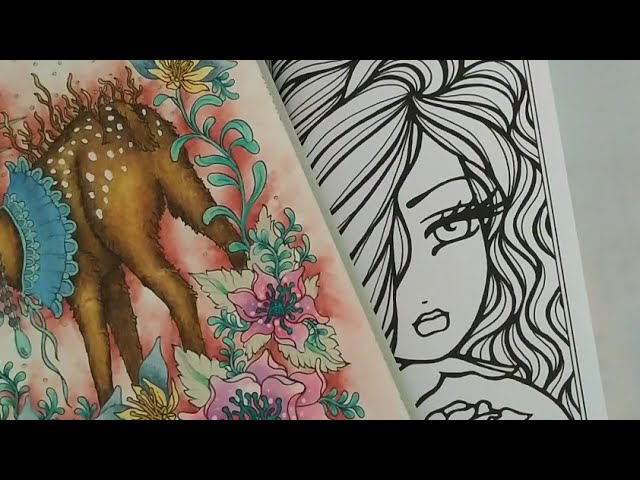 Using Watercolor Brush Pens on ColorIt Adult Coloring Book Pages: How Do  They Hold Up? 