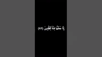 سورة الصافات 62 65 محمد اللحيدان 