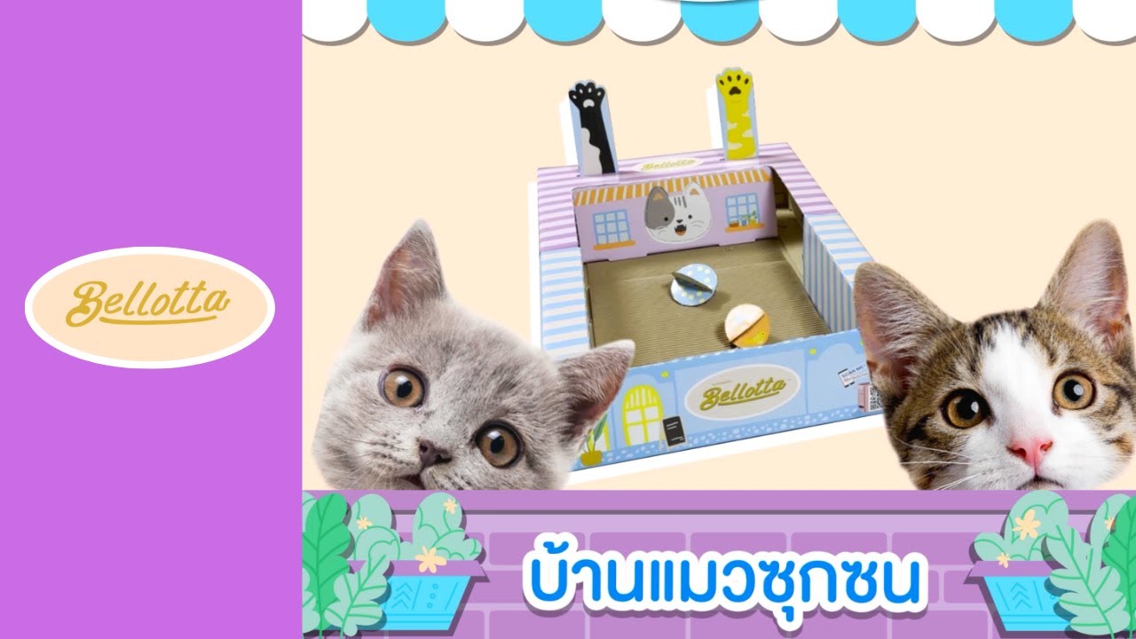 ตั้ลล้ากเซ็ตเล็ก Bellotta กล่องแมวซุกซน+ของเล่น จากกล่อง Bellotta อาหารแมวแบบเปียก กระป๋อง 85g 2 ลัง