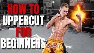How To Uppercut | For Beginners