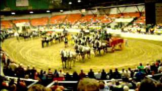 HPIM5874 Big E 2011 Draft Horse Show