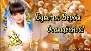 🕊КРАСИВОЕ ПОЗДРАВЛЕНИЕ С ВЕРБНЫМ ВОСКРЕСЕНЬЕМ! С Вербным 2024! Открытка на ВЕРБНОЕ ВОСКРЕСЕНЬЕ!